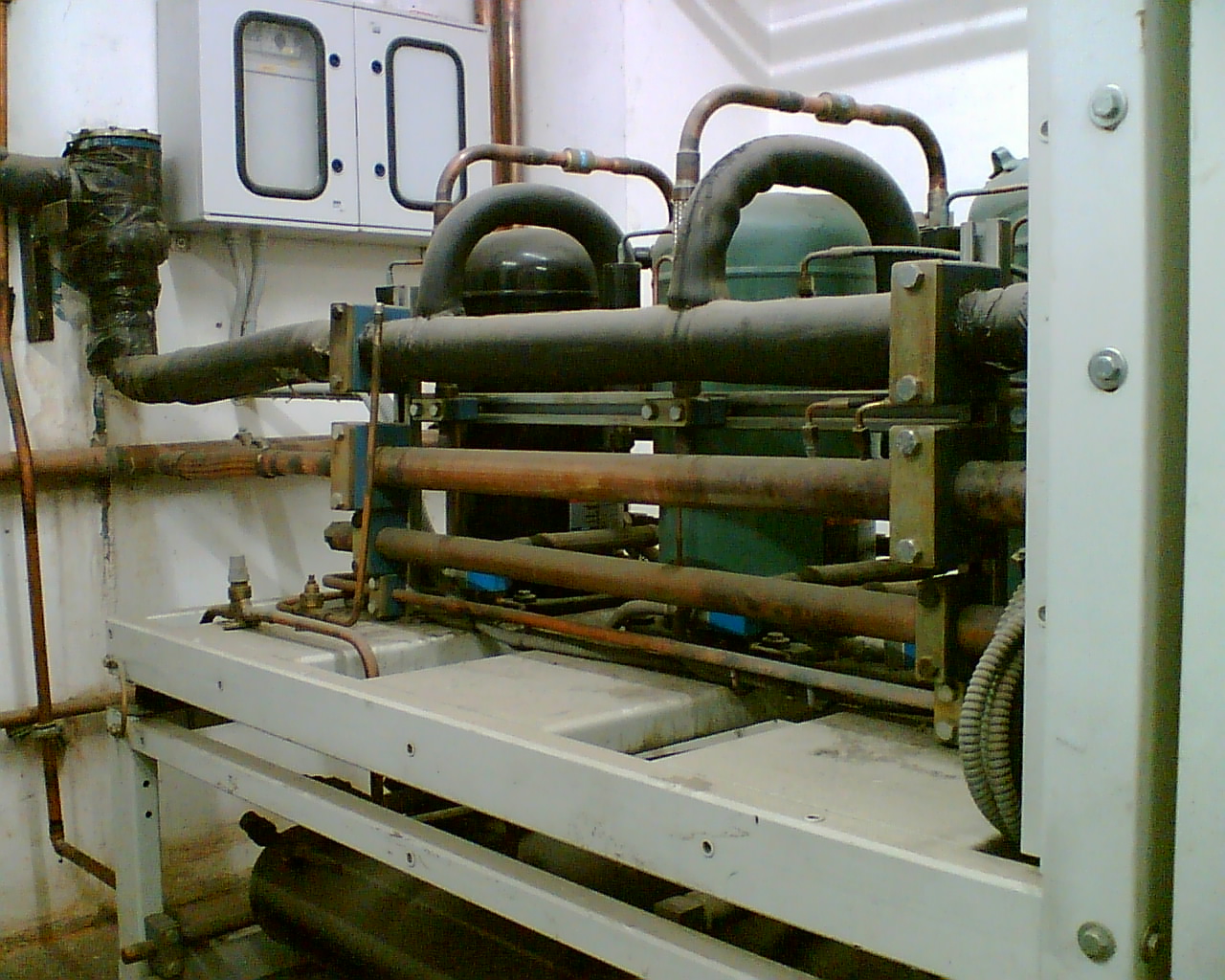 000_005.jpg