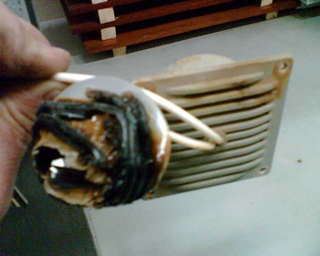 003_001.jpg