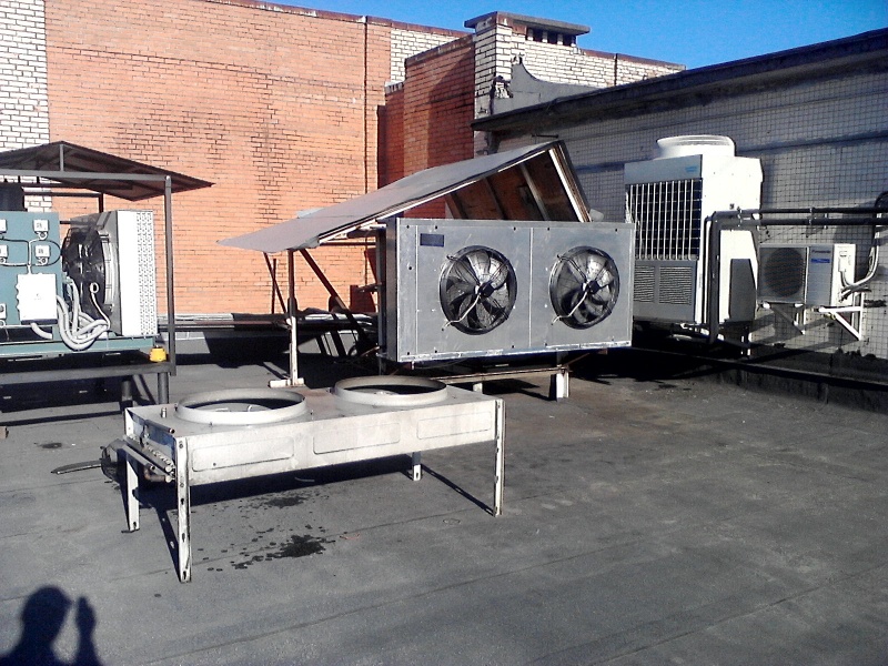003_007.jpg