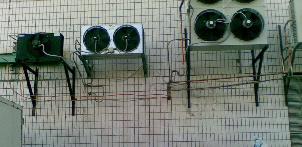 050.jpg