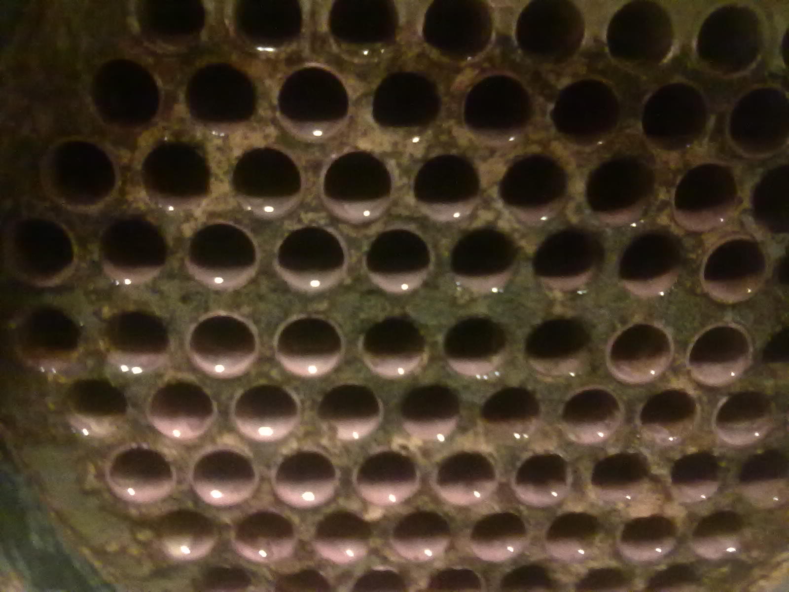 06102010079.jpg