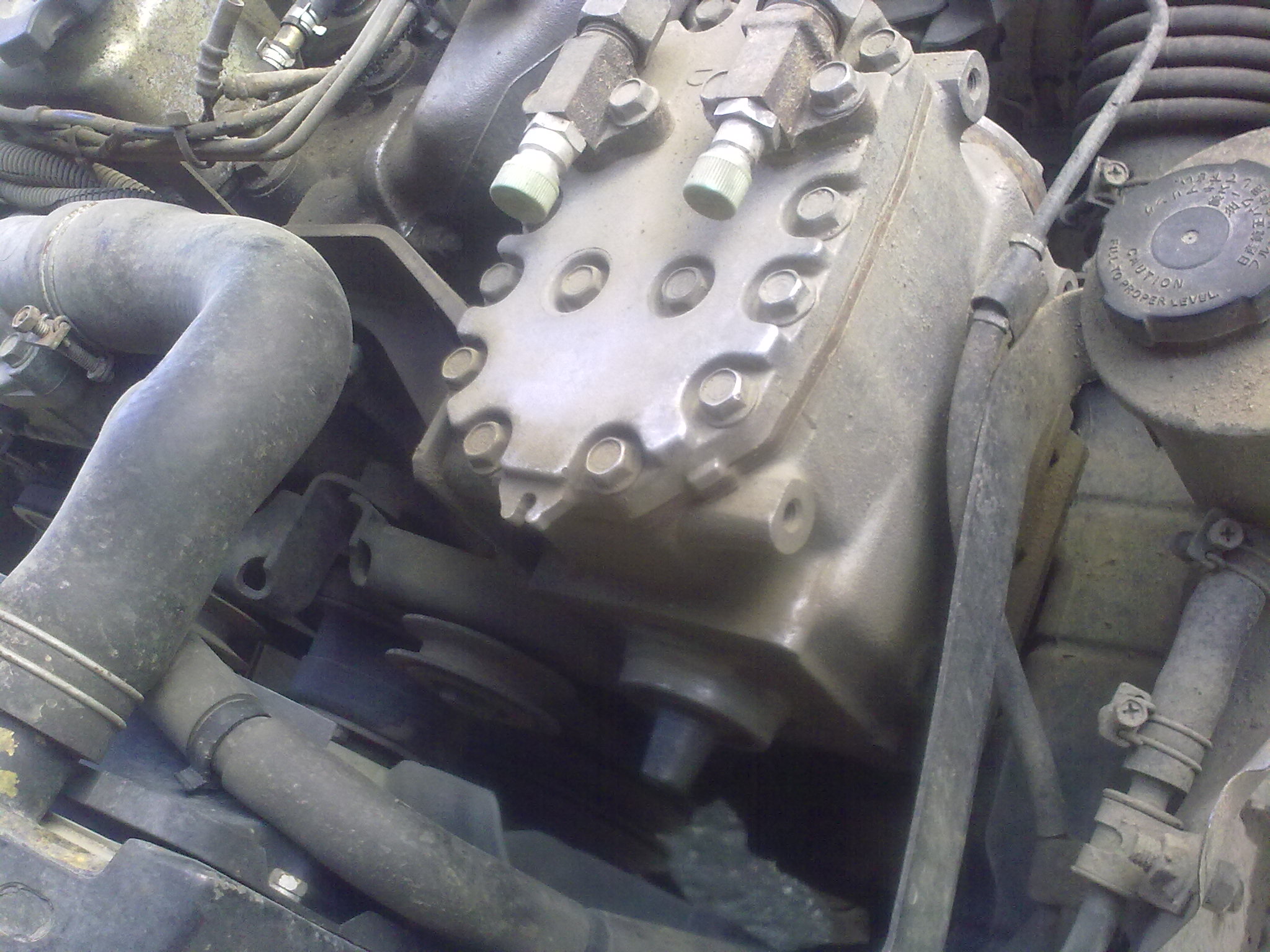080620101491.jpg
