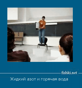 1_003.gif