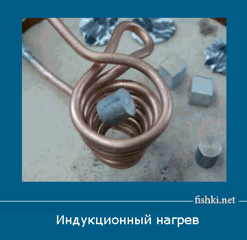 1_004.gif