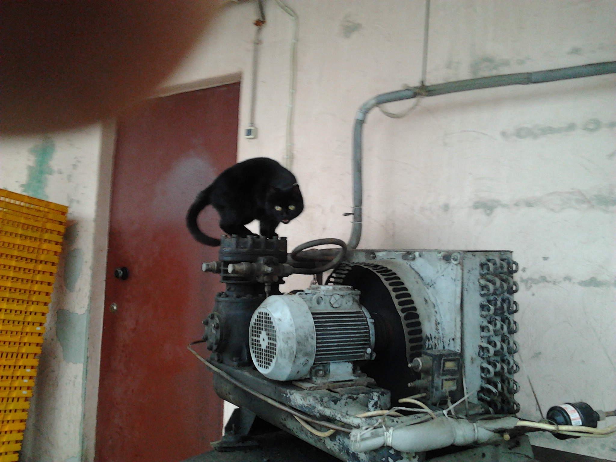 2011-12-09_12_14_48.jpg