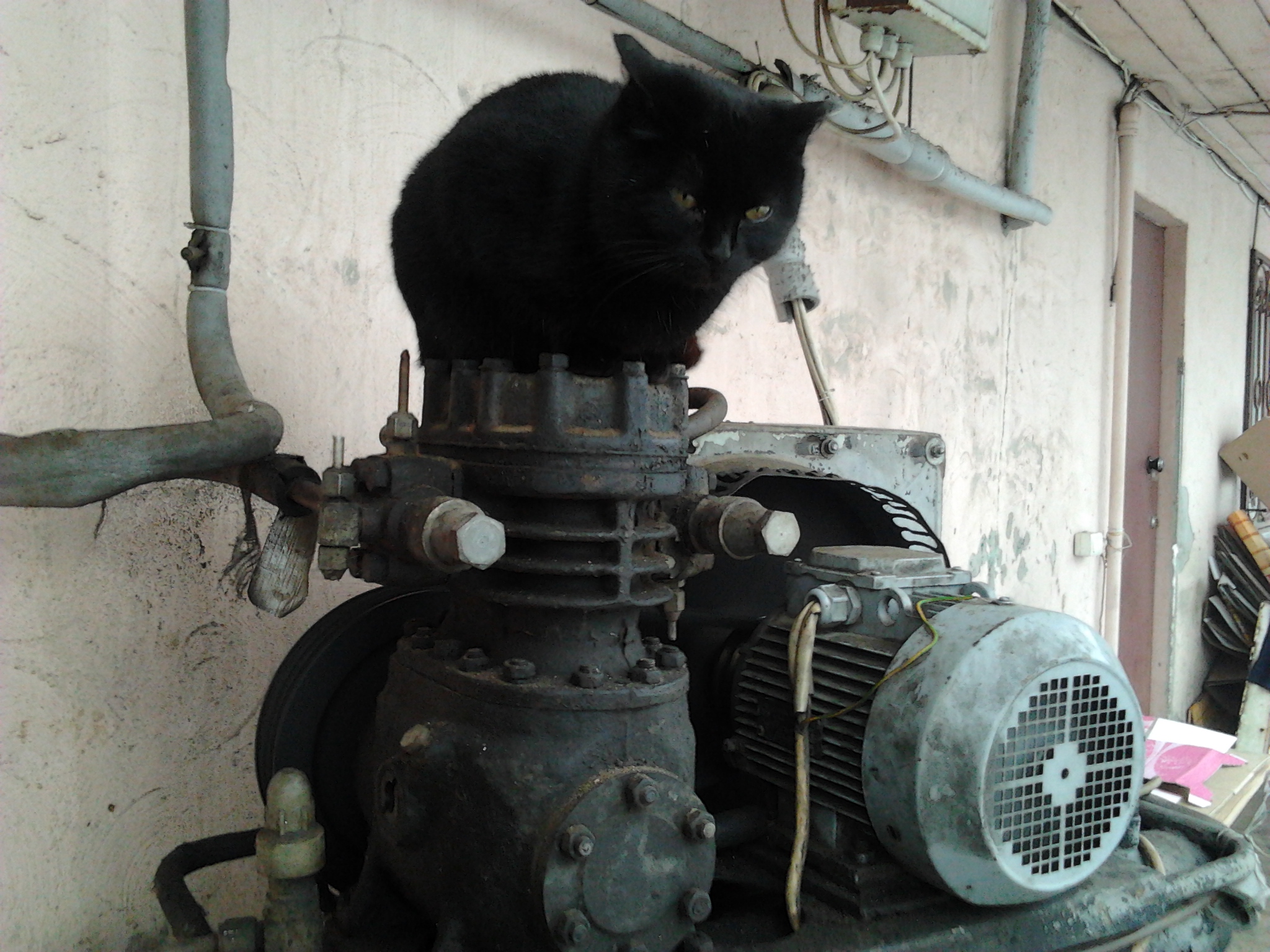 2011-12-09_13_16_56.jpg