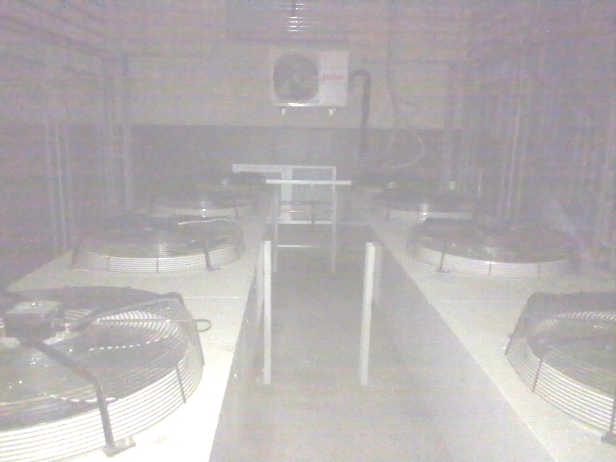 2013-12-27_09-36-16.JPG