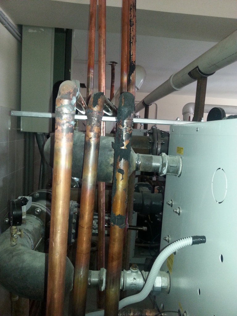 20140702_181509.jpg
