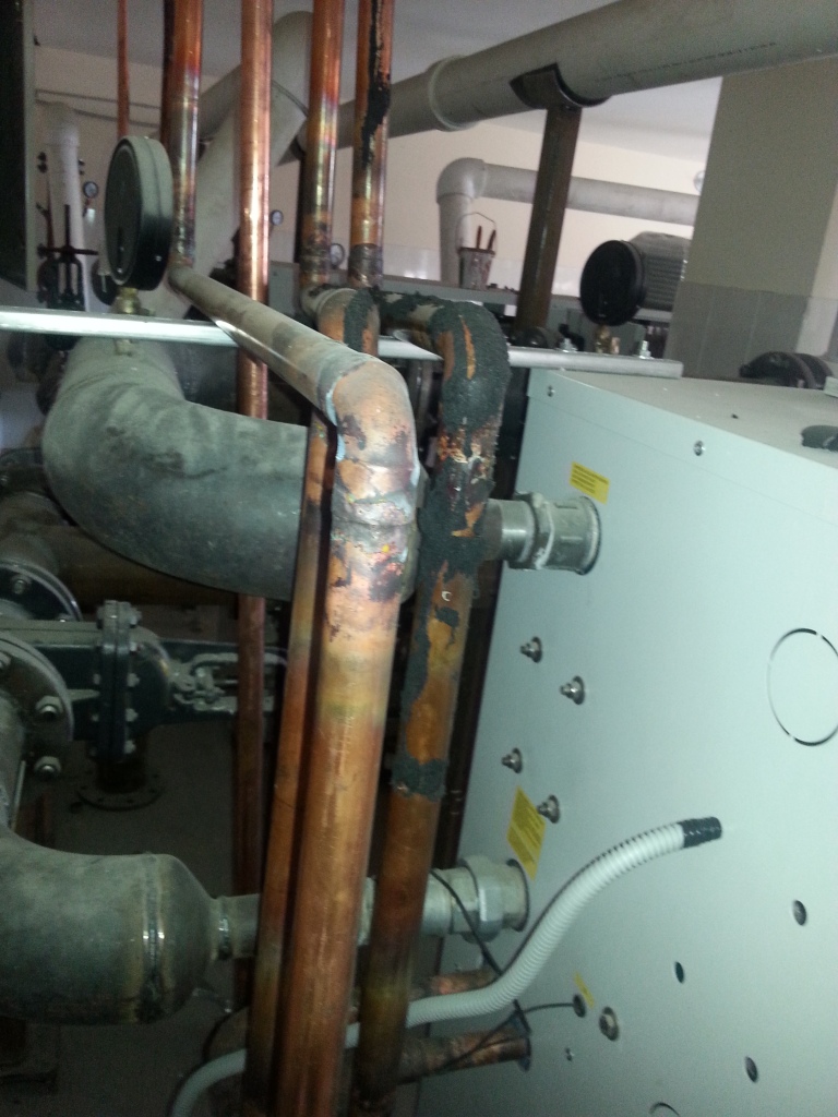 20140702_181515.jpg