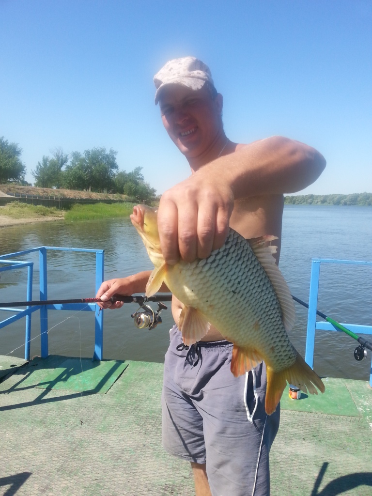 20140716_121650.jpg