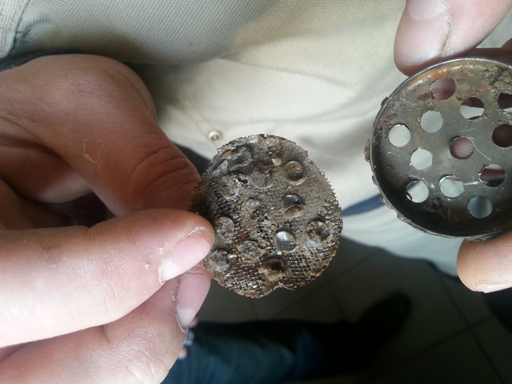 20150430_094911.jpg