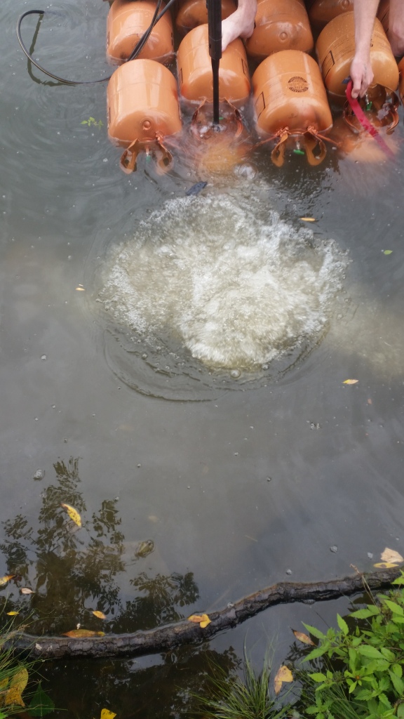 20150902_160756.jpg
