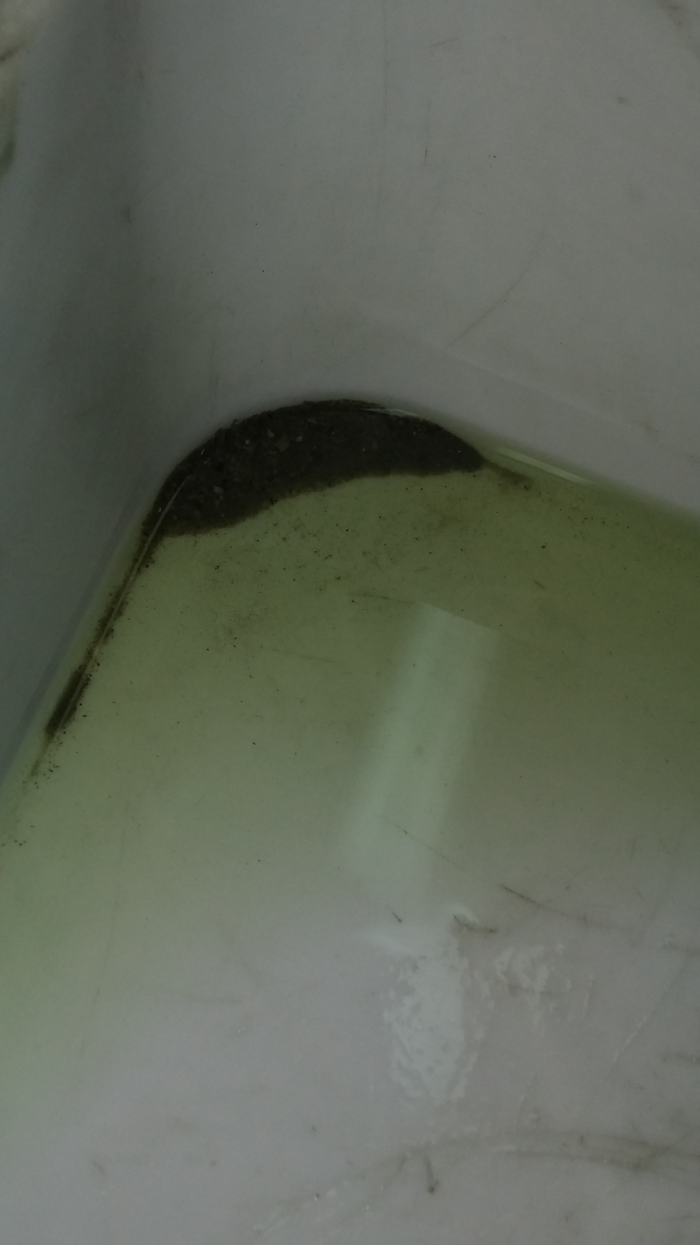 20170418_113823.jpg