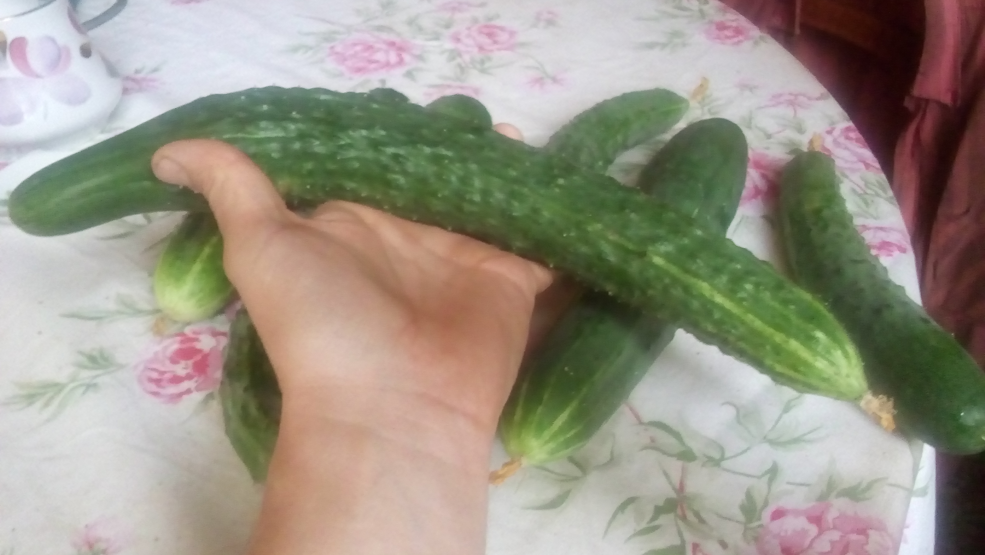 20170729_141906.jpg