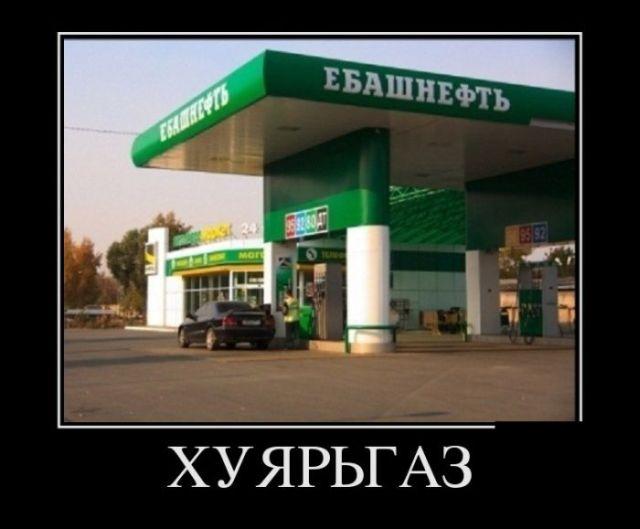 222_004.jpg
