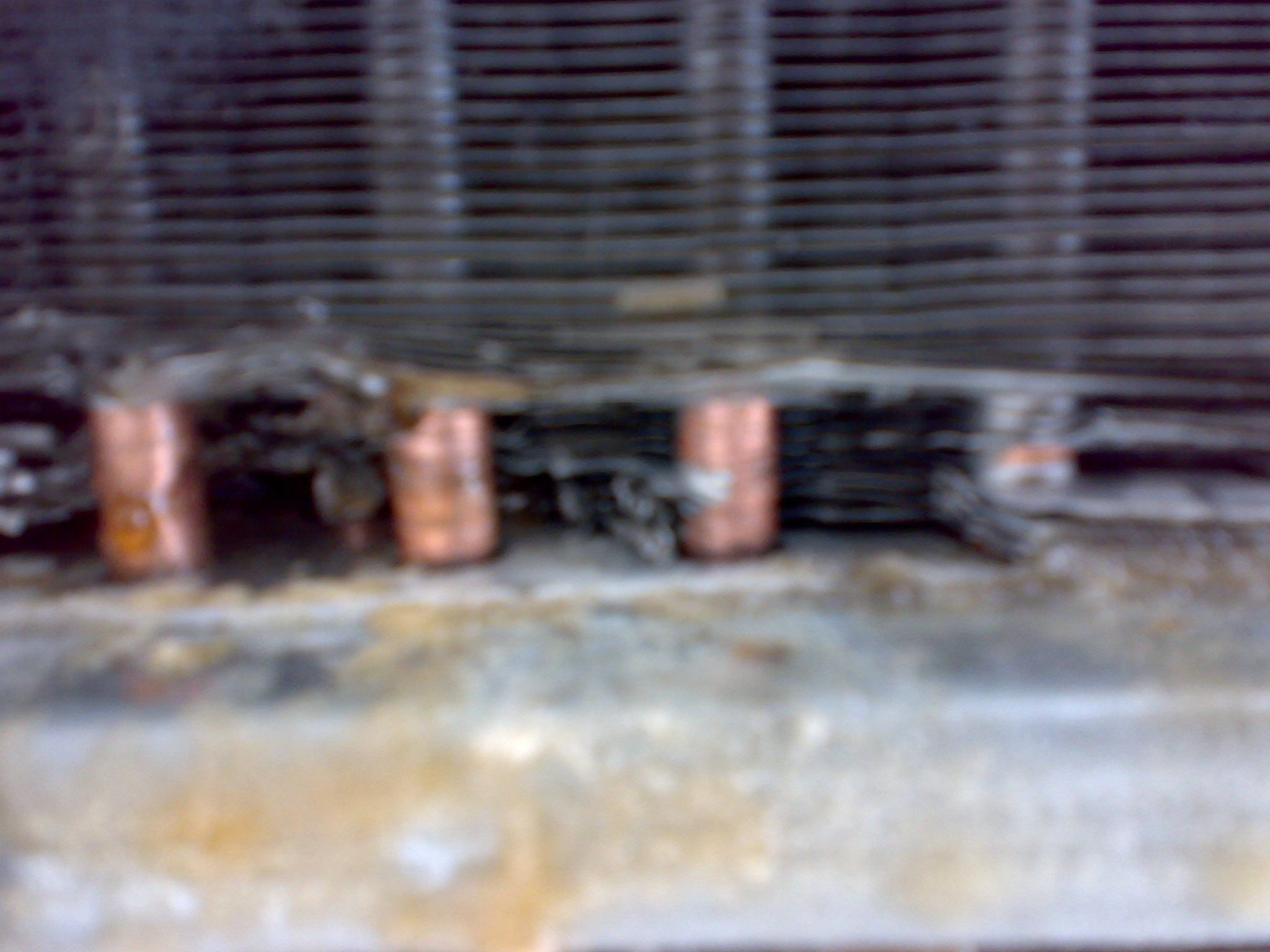 25022010550.jpg