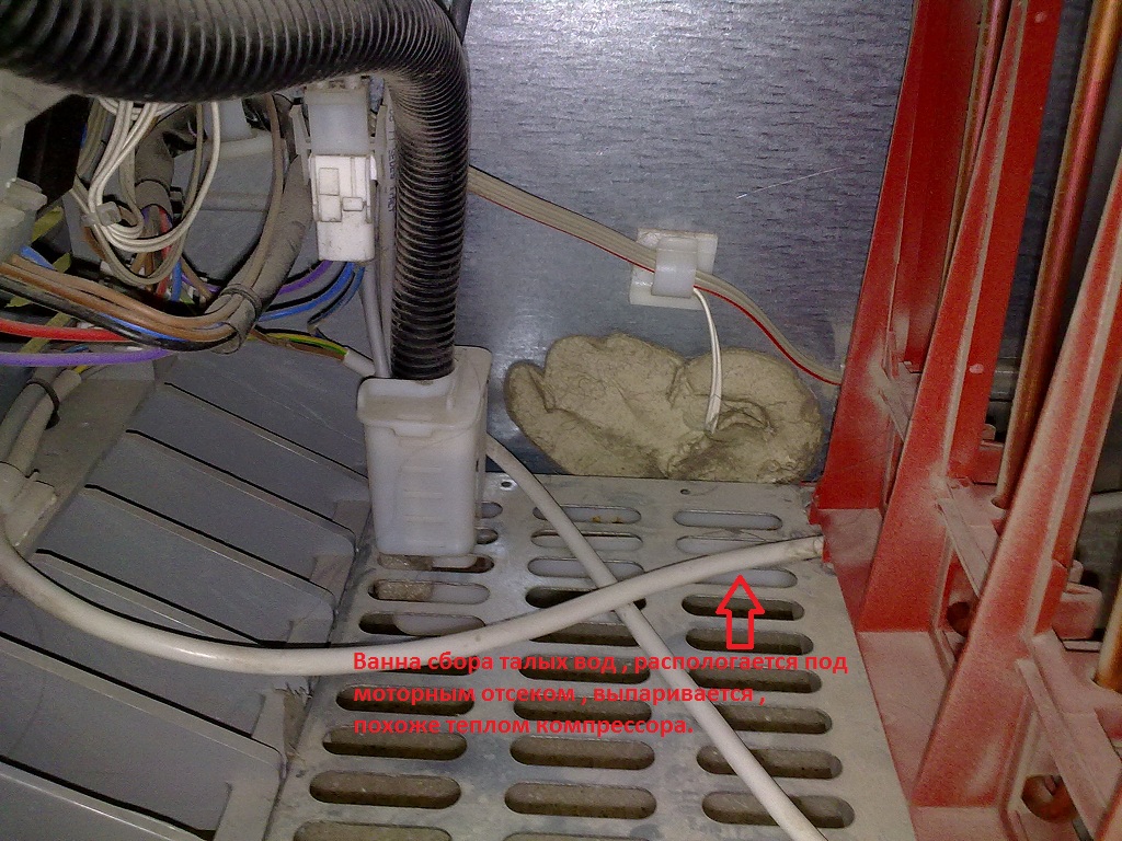 26072012667.jpg