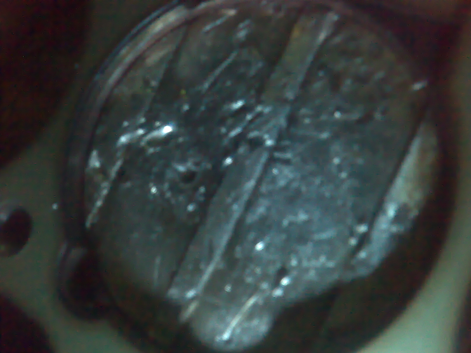 280220102008.jpg