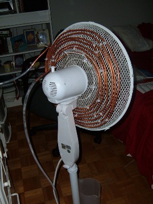 3_1152530898.jpg