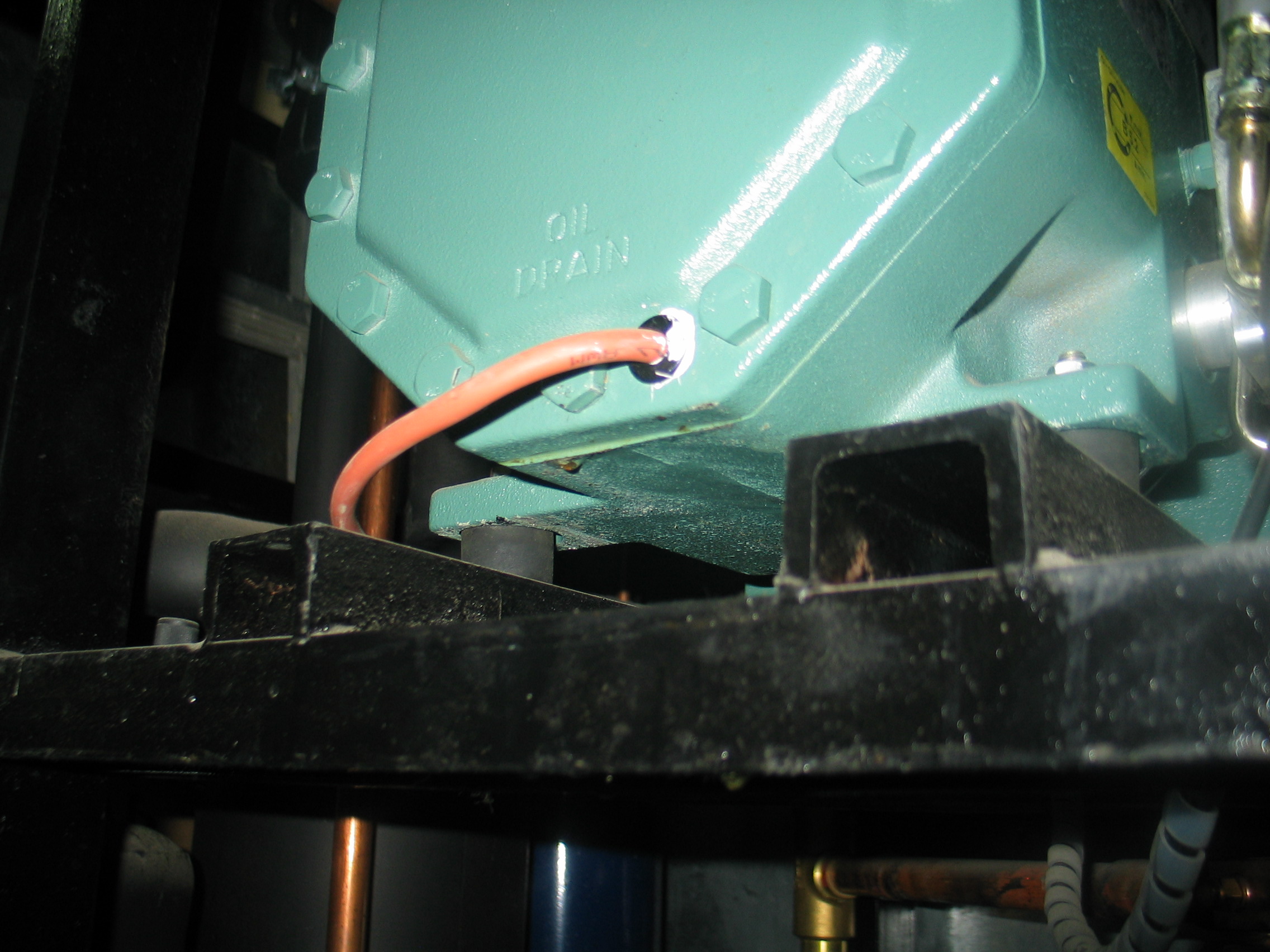 5.JPG