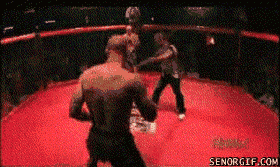 5.gif