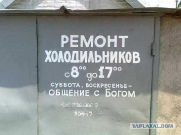 6335244.jpg