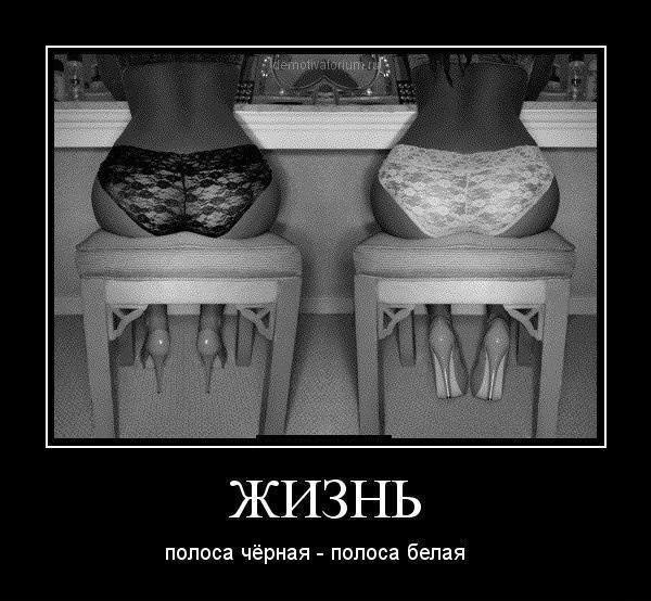 6ceca582f55f_001.jpg