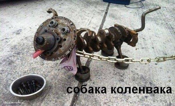 6xu4SzdBpuY.jpg