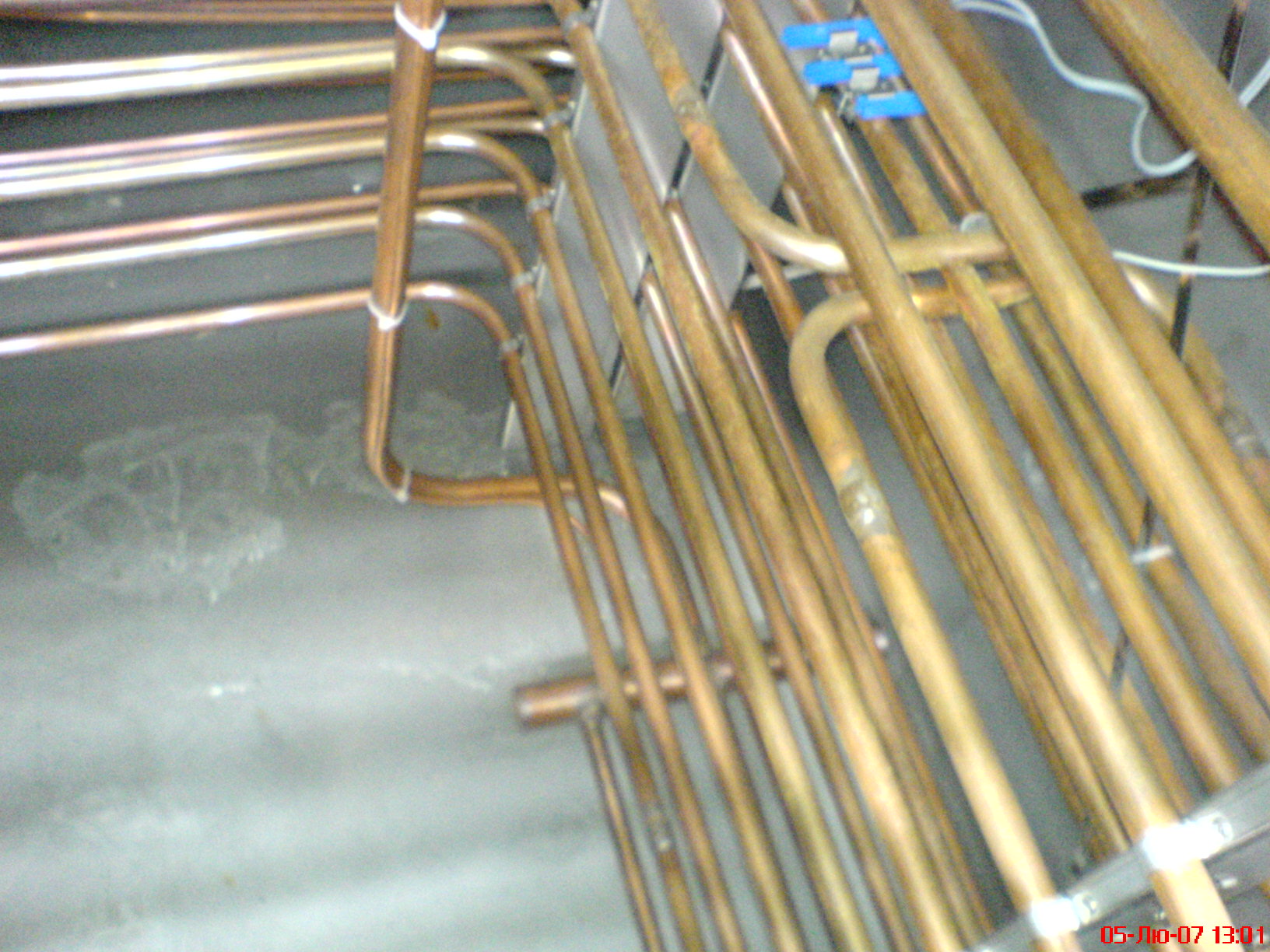 DSC00175.JPG