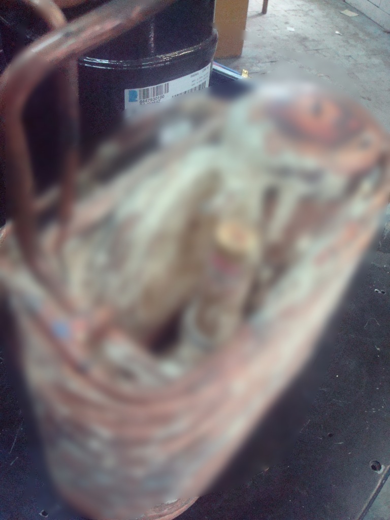DSC00422_.jpg