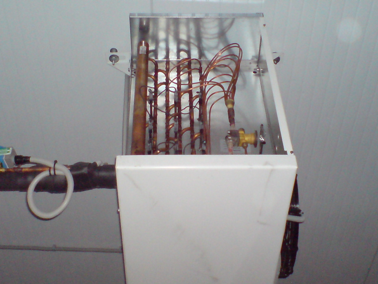 DSC01161.JPG