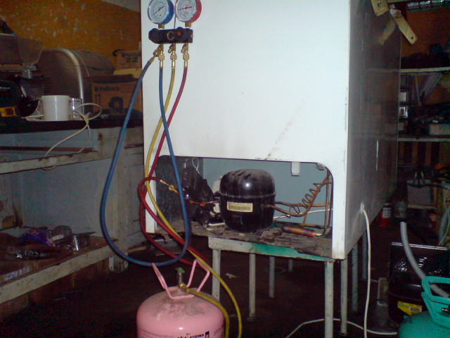 DSC01382.JPG