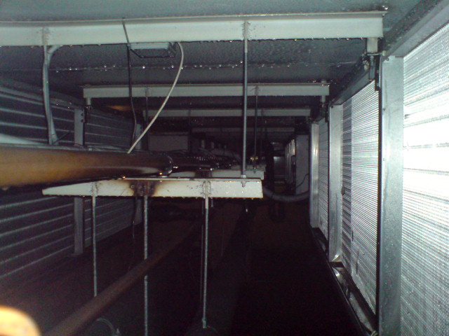 DSC01395.JPG