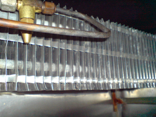 DSC01396_001.JPG