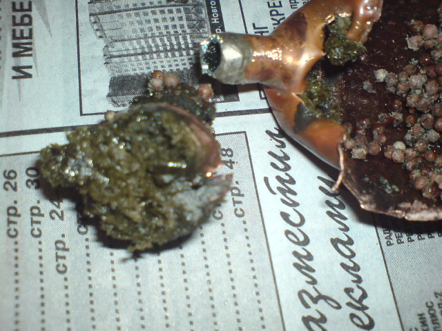 DSC01400_001.JPG