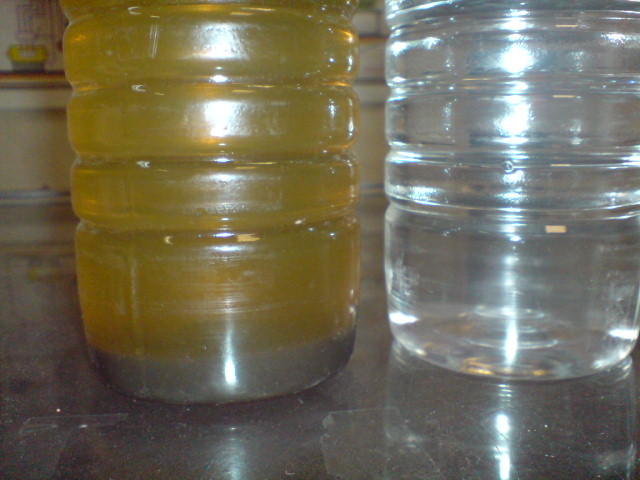 DSC01445.JPG