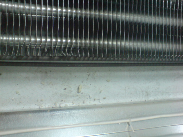 DSC01637_001.JPG