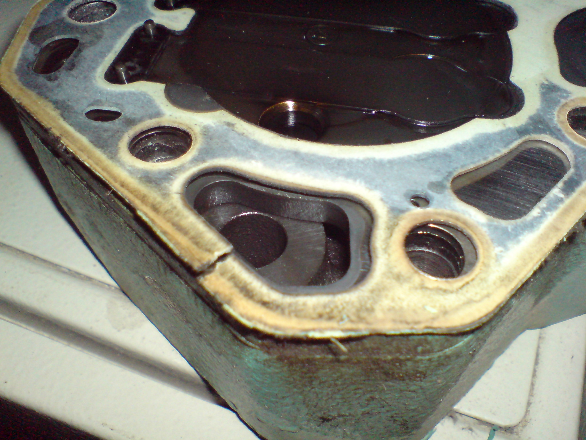 DSC02224.JPG
