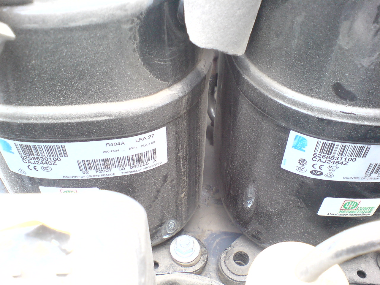 DSC02392.JPG