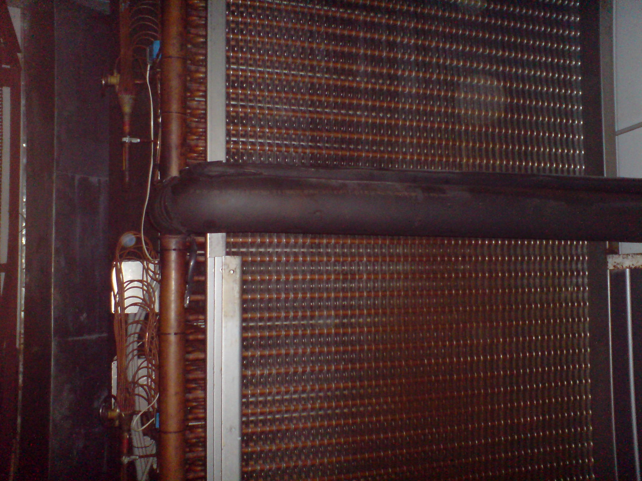 DSC02685.JPG
