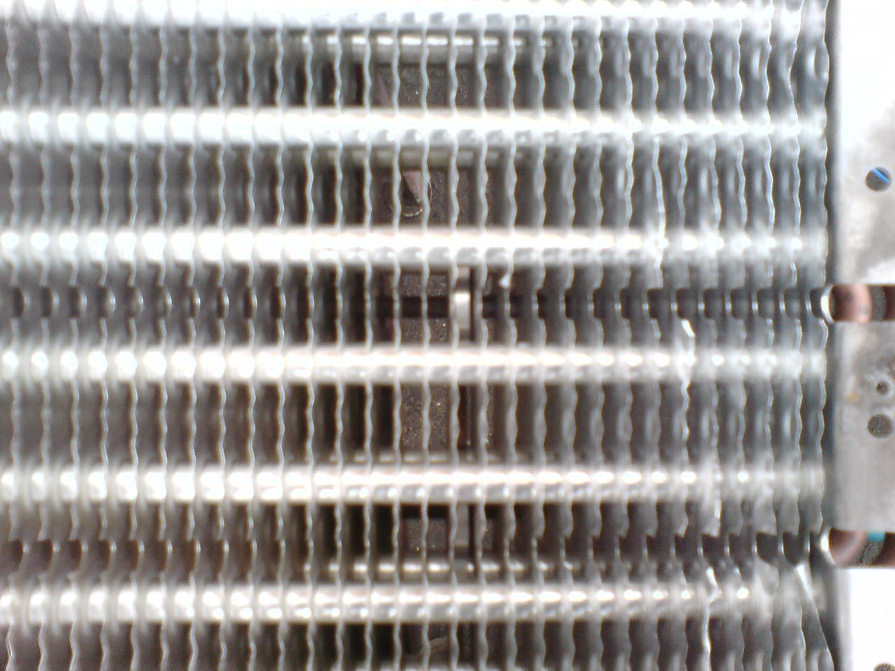 DSC02950.JPG