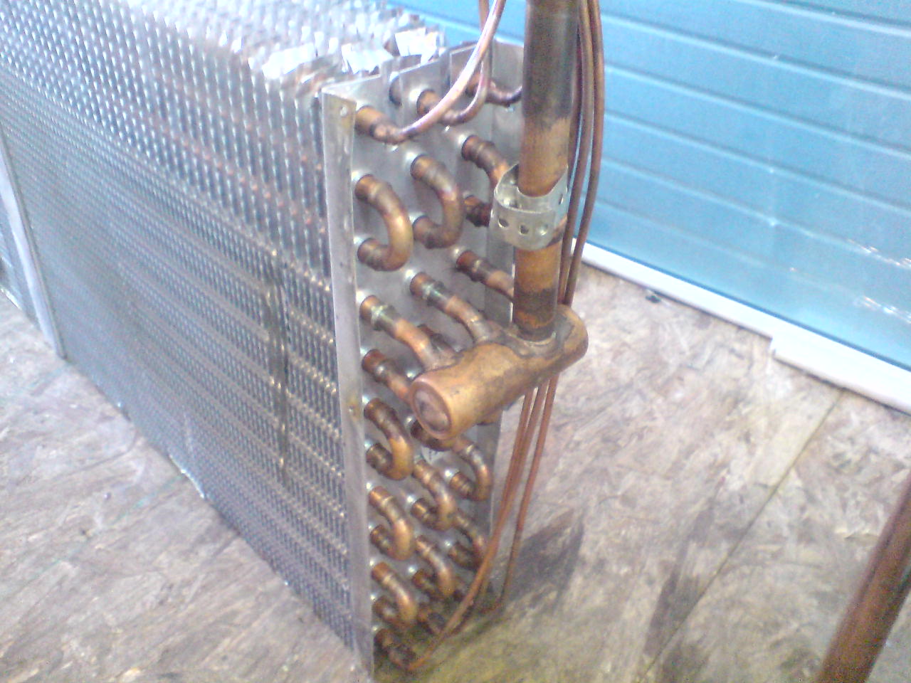 DSC03785.JPG