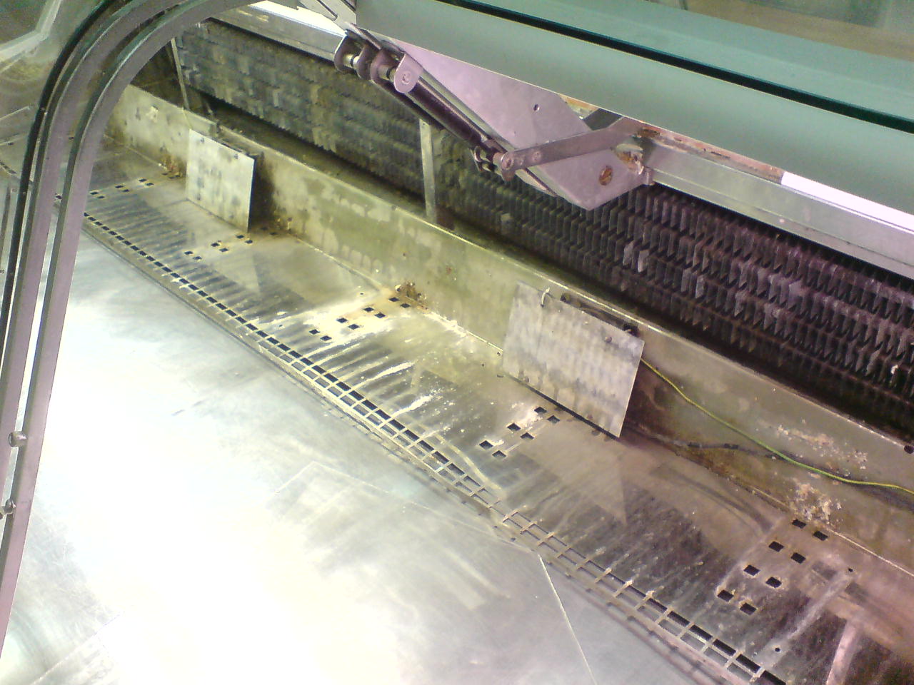 DSC03808_001.JPG