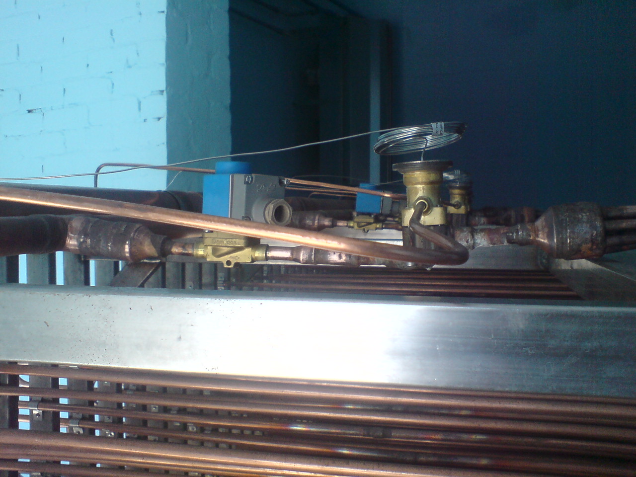 DSC05436_001.JPG