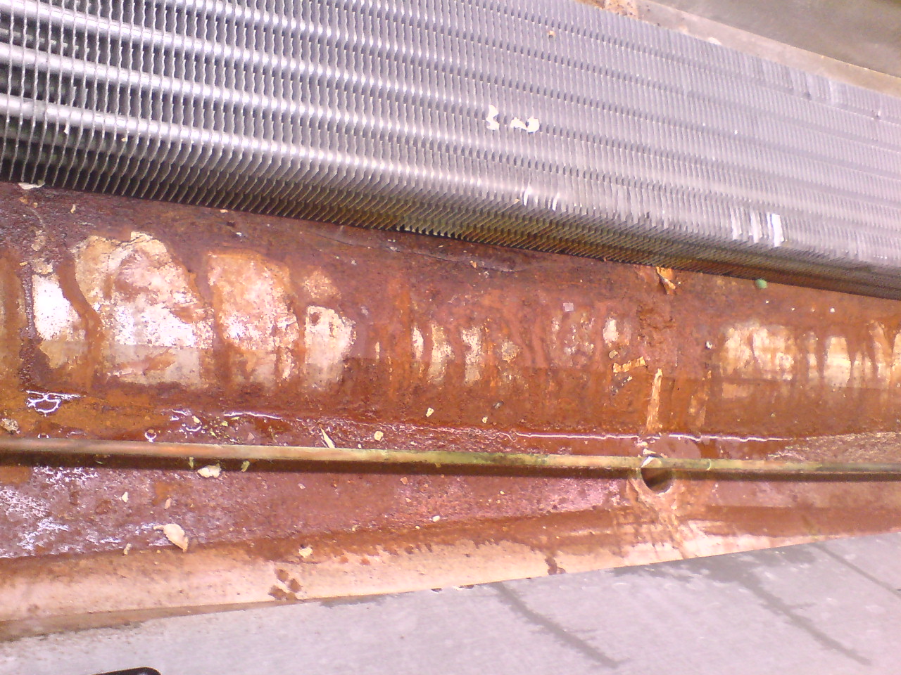 DSC06692.JPG