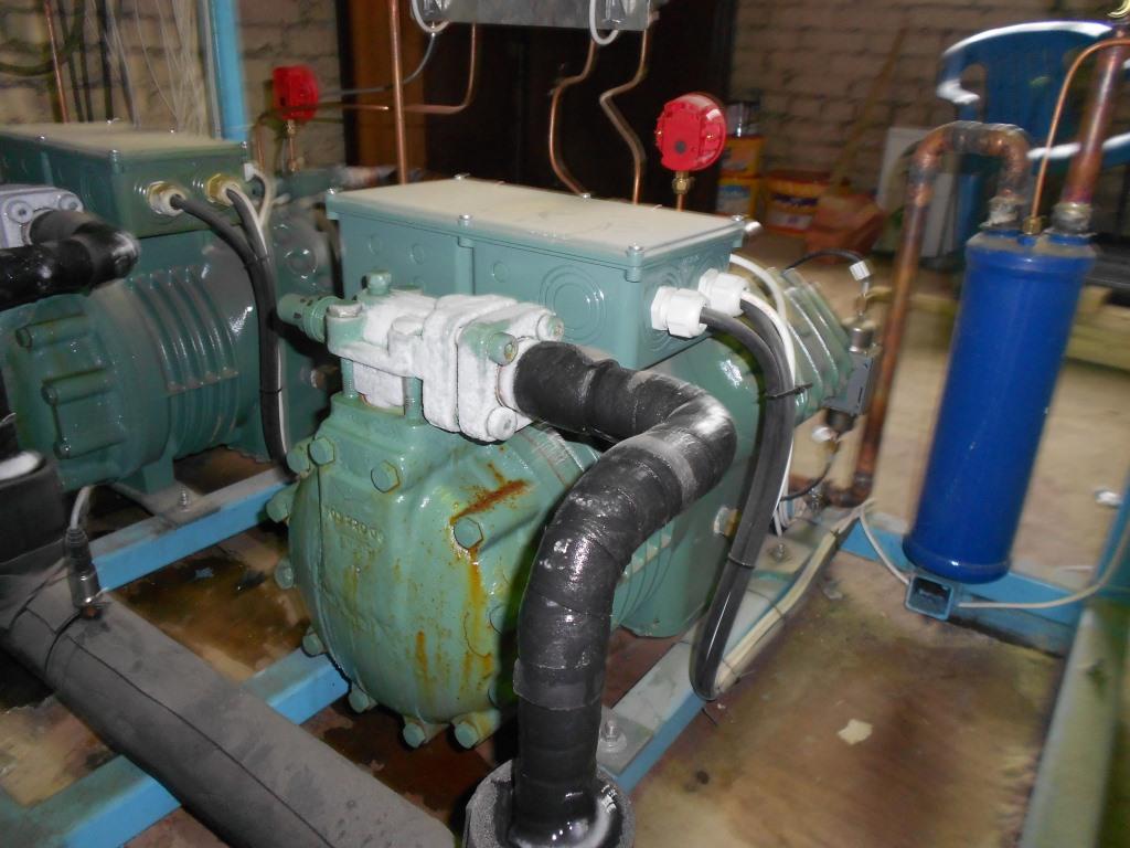 DSCN0828.JPG