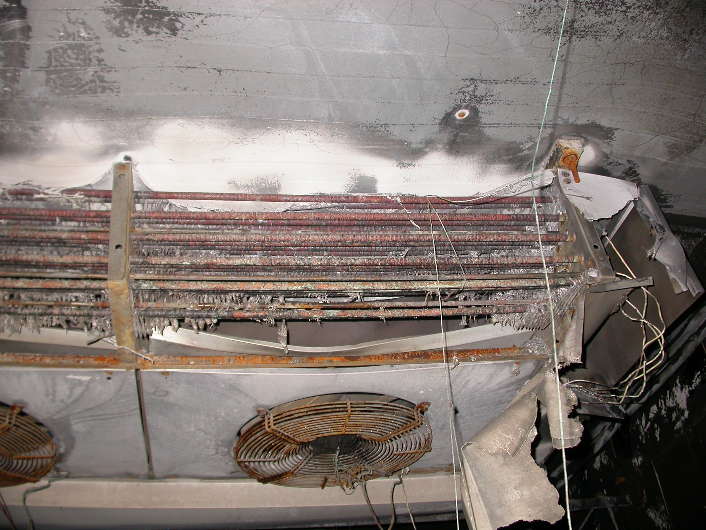 DSCN7469.JPG