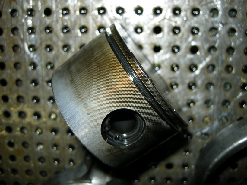 DSCN7706.jpg