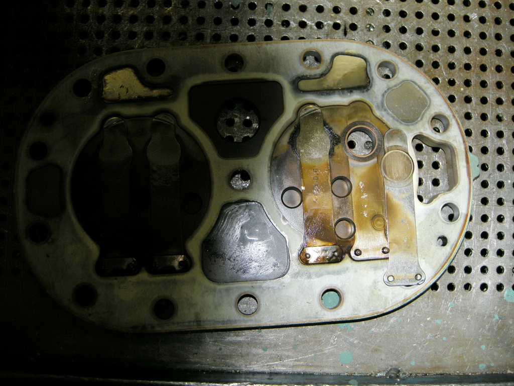 DSCN8294.jpg
