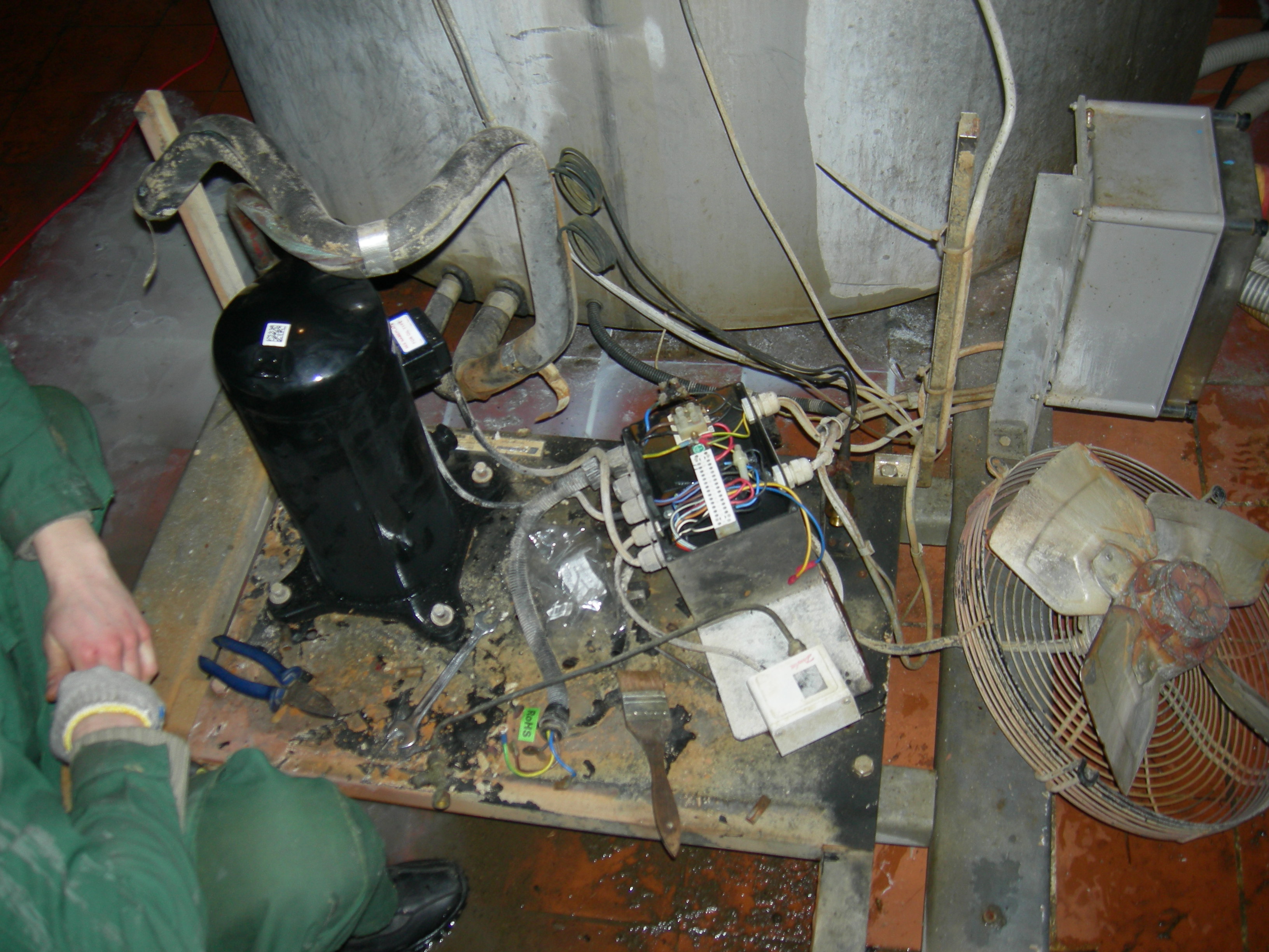 DSCN8717.JPG
